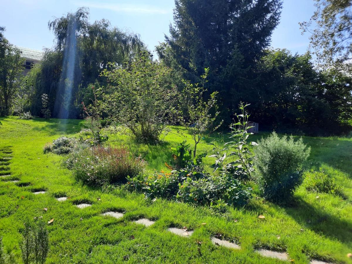 La Yourte Au Fonds Du Jardin Xhoris ภายนอก รูปภาพ